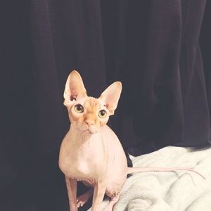 Meet your Posher, Ann-mary